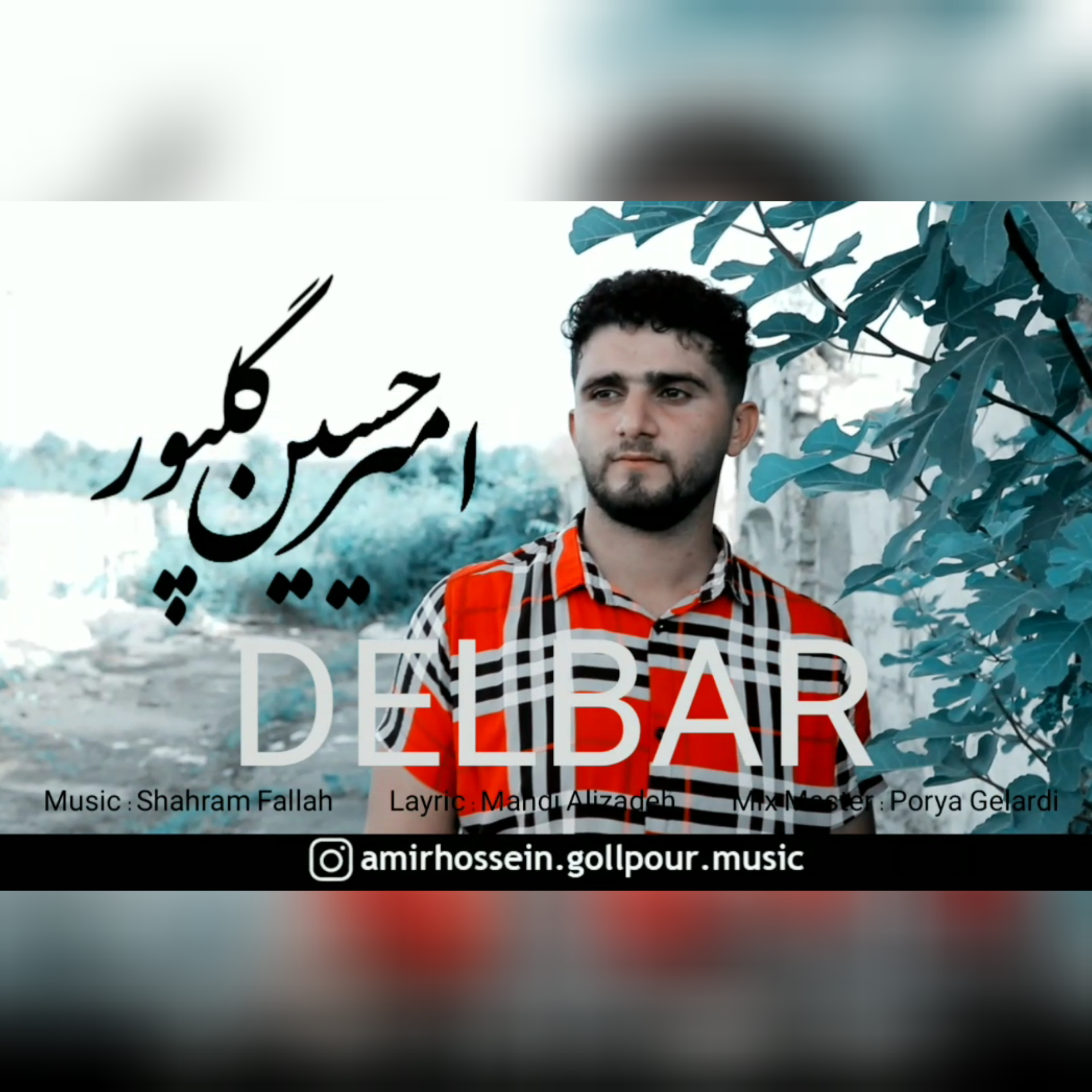 امیرحسین گلپور دلبر